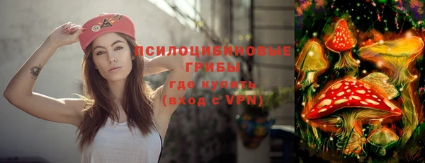 ГАЛЛЮЦИНОГЕННЫЕ ГРИБЫ Балабаново
