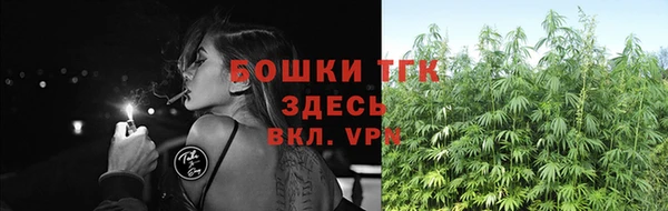 ГАЛЛЮЦИНОГЕННЫЕ ГРИБЫ Балабаново