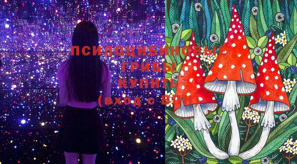 мдпв Баксан